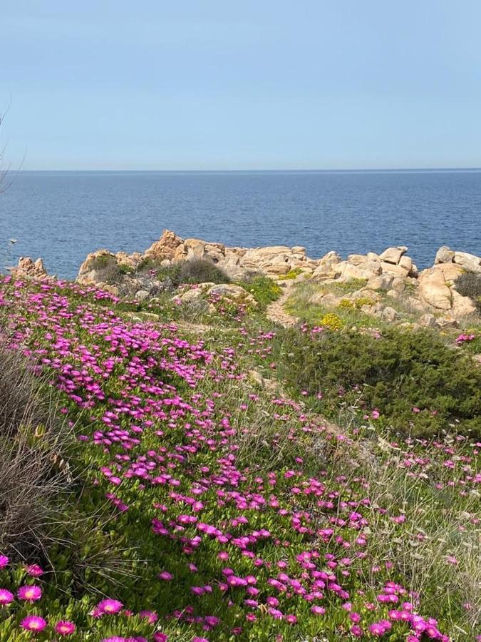 Casa Mughetto R5055 Seafront, Private Sea Access, Swimming Pool Villa La Maddalena  Exterior photo