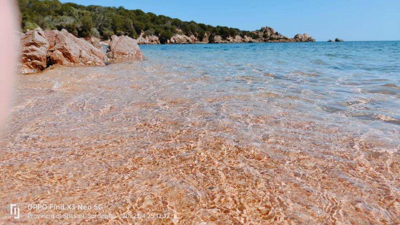 Casa Mughetto R5055 Seafront, Private Sea Access, Swimming Pool Villa La Maddalena  Exterior photo