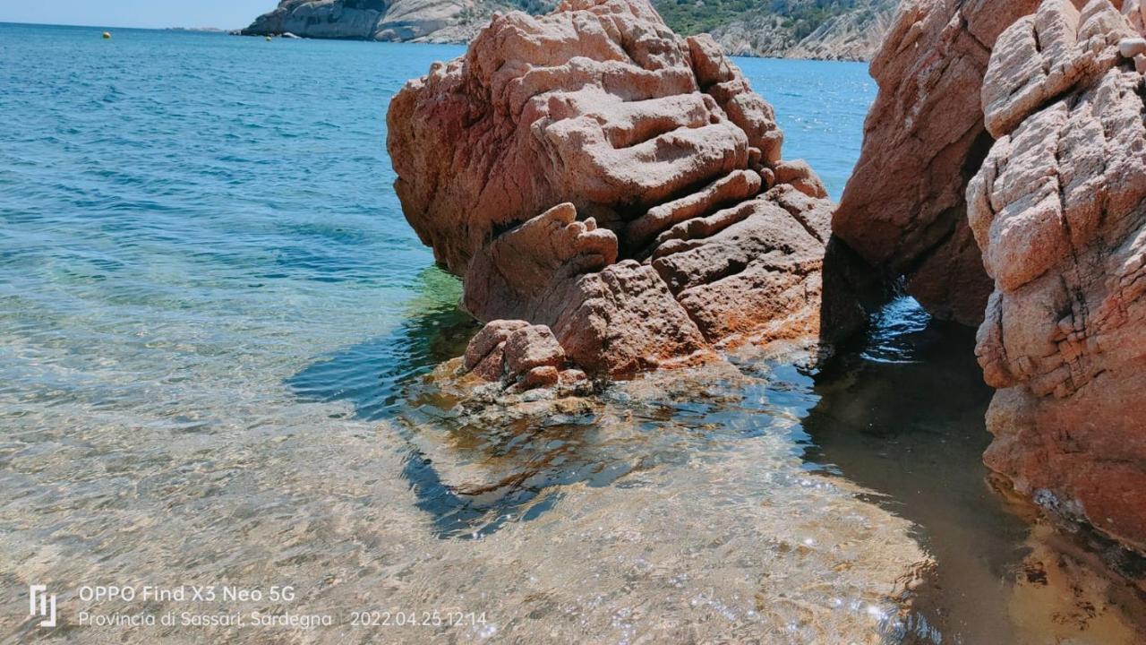 Casa Mughetto R5055 Seafront, Private Sea Access, Swimming Pool Villa La Maddalena  Exterior photo
