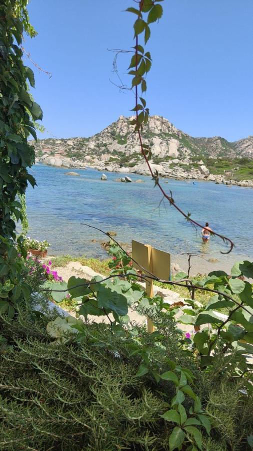 Casa Mughetto R5055 Seafront, Private Sea Access, Swimming Pool Villa La Maddalena  Exterior photo
